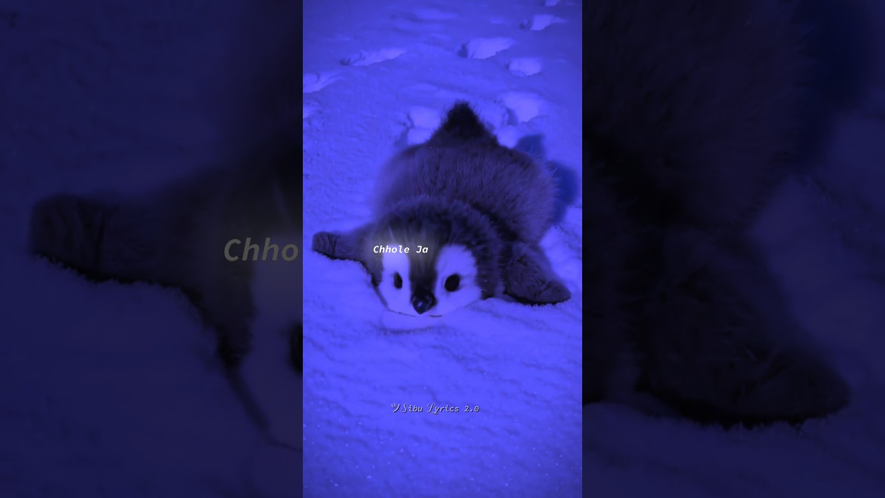 Golu Molu 🥔🐧|| Cute Penguin 🐧|| Tranding ❤️‍🔥 || #shorts #lyrics #edit
