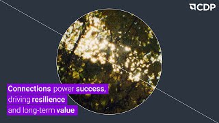 Future-Proof Your Supply Chain with CDP