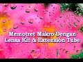 TUTORIAL FOTOGRAFI (2021): Motret Makro Dengan Lensa Kit & Extension Tube