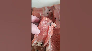 Не когда так не делайте при засолке красной рыбы! Всего две, ошибки смотрите, что будет!  #Shorts