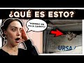 😱 NO creerás lo que hemos ENCONTRADO en Villa Campito + DRAMA de fontanería