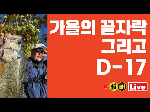 유사 겨울날씨에 딱인 입낚시 <strong>시간</strong> [꿀배Live <strong>Vol</strong>.204]