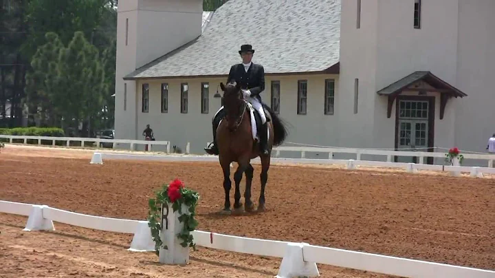 Vicki Kelley shows I1 on her Bavarian Warmblood