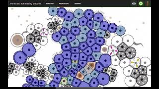 Cell Lab - Worms splitting in half to reproduce