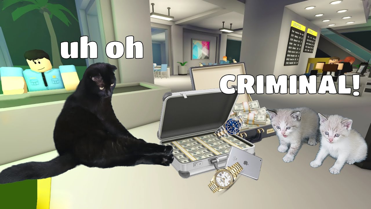 Cat's biggest robbery | Roblox | Tropical Resort Tycoon