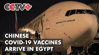 The First Batch of Chinese COVID-19 Vaccines Arrive in Egypt