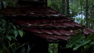 Rain Sounds & Healing Sleep Music 🌙 Enter Your Safe Haven & Cure Insomnia Forever (08 Hours)