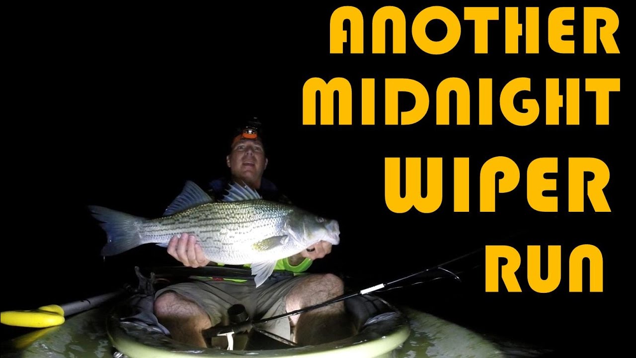 Another Midnight Wiper Run (Hybrid Bass Fishing)