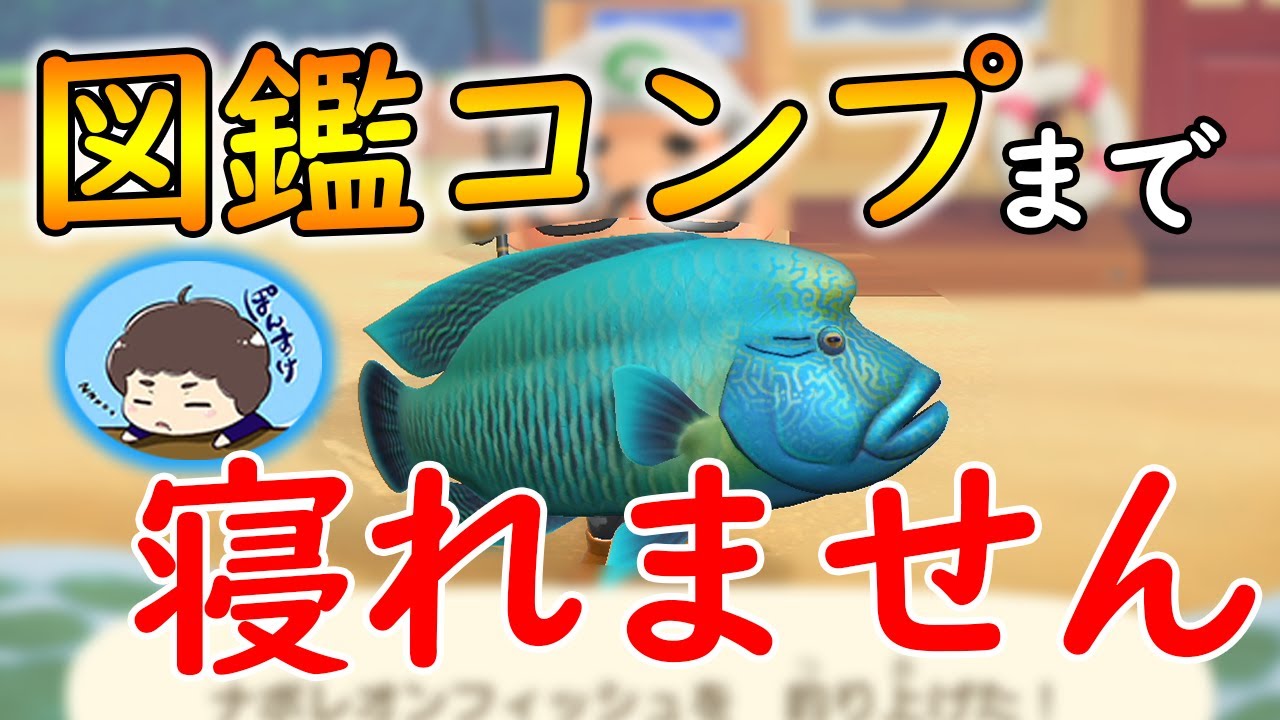 あつ 森 魚 コンプ