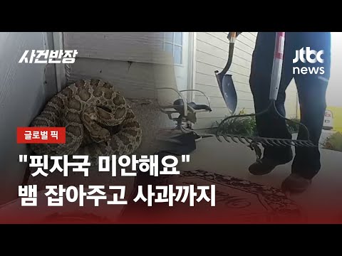 택배 배송하다 뱀 발견한 택배기사 삽 쇠갈퀴로 방울뱀 처리 JTBC 사건반장 