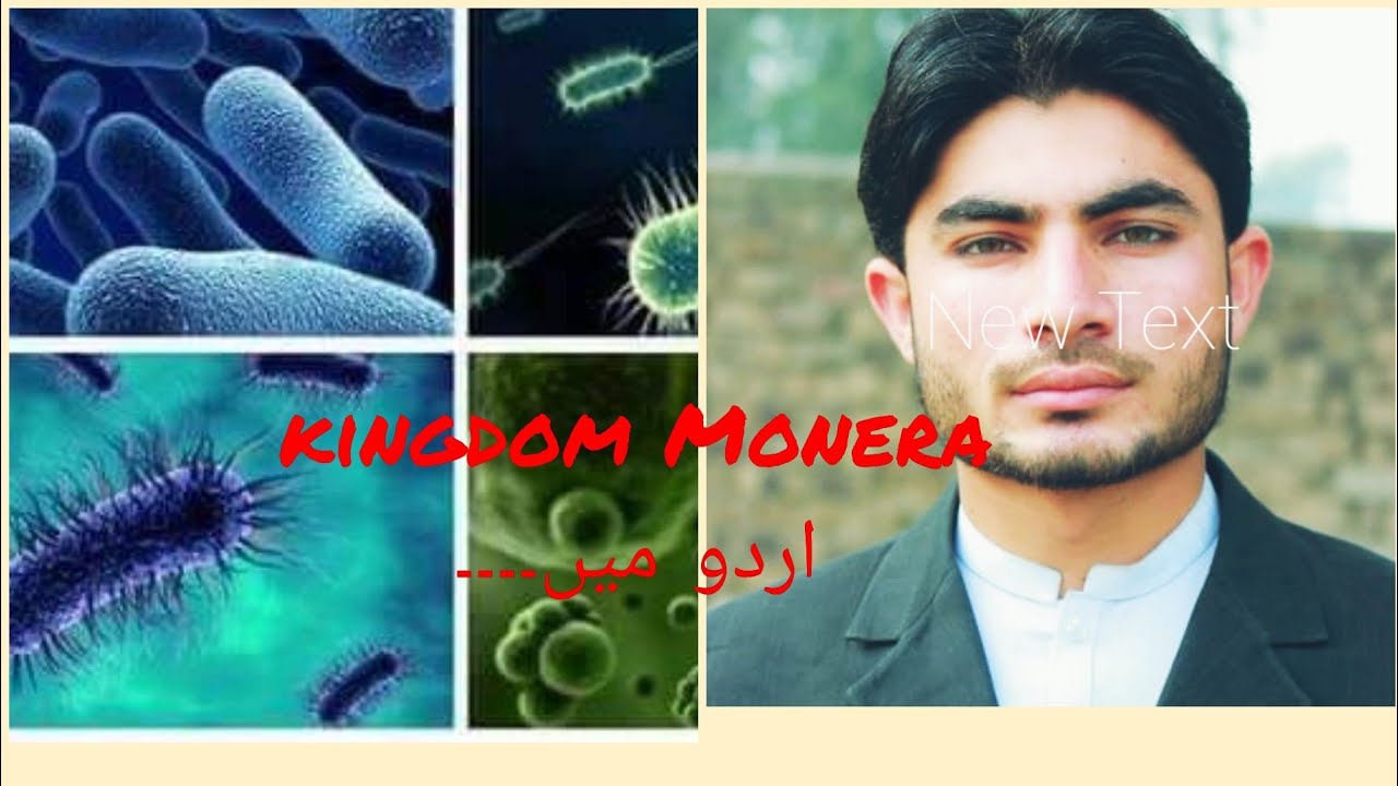 Kingdom Monera 9th class biology in Urdu