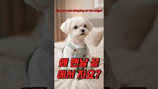 "왜 맨날 끝에서 자요?" Why Are You Sleeping on the Edge?
