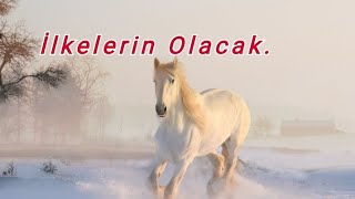 İlkelerin Olacak.
