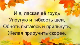 Лошадка