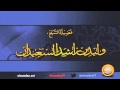 هل قول ما شاء الله مما يدفع العين أصلا   