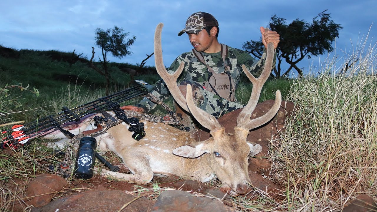 Lanai, Hawaii Archery State Hunt 2018 YouTube