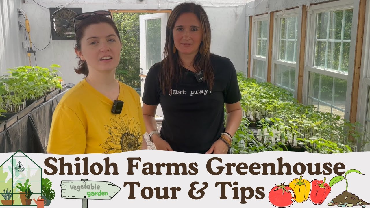INSIDE SHILOH FARMS SPRING GREENHOUSE | GARDENING - YouTube