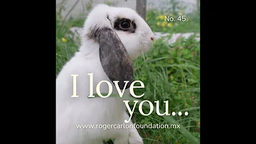 I LOVE YOU MORE THAN YESTERDAY... Card No. 45 - (By Roger Carlon Foundation)