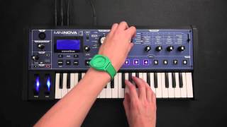 Novation // Dorian Concept x MiniNova chords