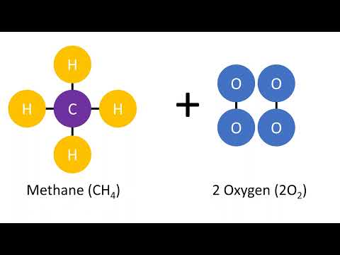 Combustion Reaction of