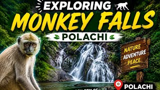 #Monkey #Falls 💚 🌿 கவியருவி #pollachi #trending #viral #youtube #video @scenic_view_s