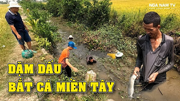 Dặm Dấu Bắt Cá Miền Tây Tưởng Hết Cá Ai Dè Cá Lóc Cá Trê Thấy Mê P.1/Catch The Fish/NGÃ NĂM TV