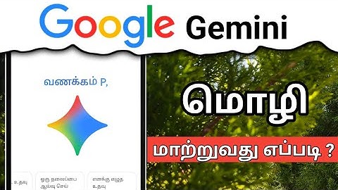 How to change google gemini language/Google gemini photo editing language change tamil 