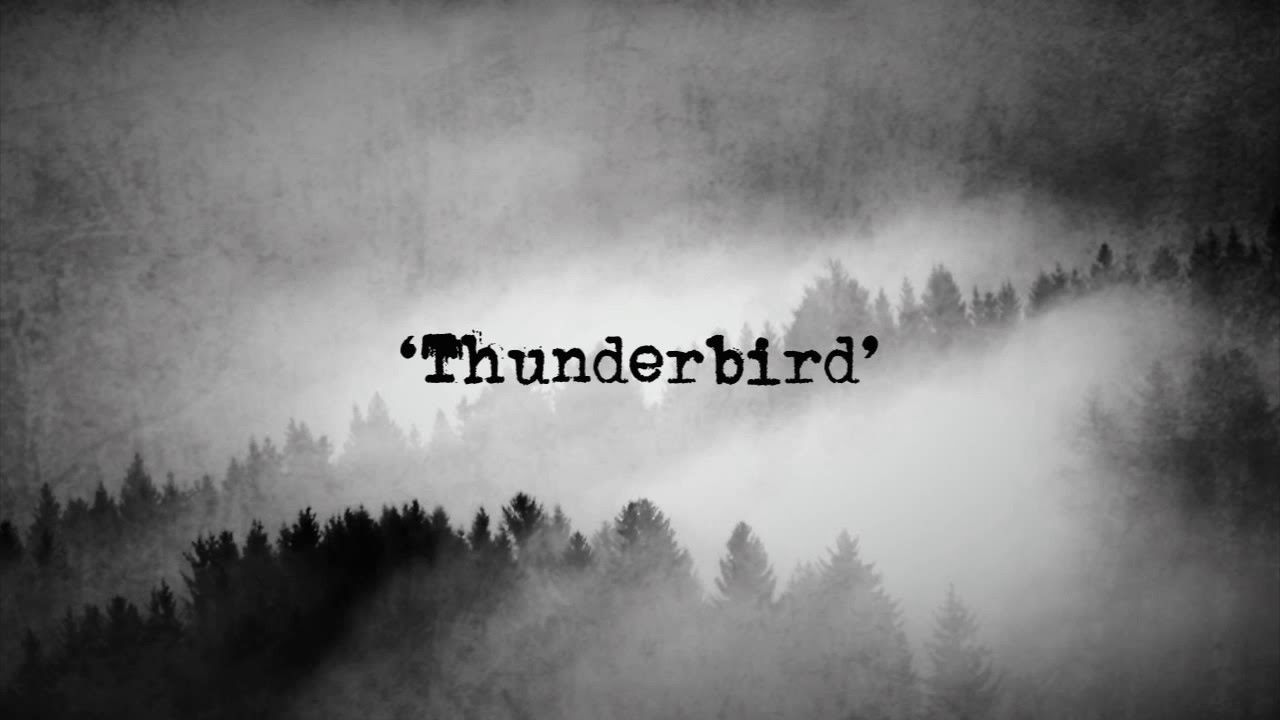 Pete Lunn Thunderbird Original Song Lyric Video Youtube The fabulous thunderbirds performing at brazos nights in 2011. pete lunn thunderbird original song lyric video