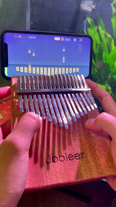 Payphone #kalimba #Jooleerkalimba  #thumbpiano #Jooleermusic #kalimbacover