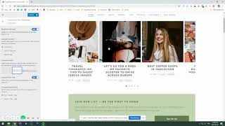Hazel Customizer Demo