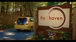 Welcome to The Haven