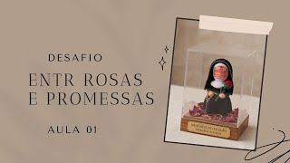 Aula 01/ Entre Rosas e Promessas…