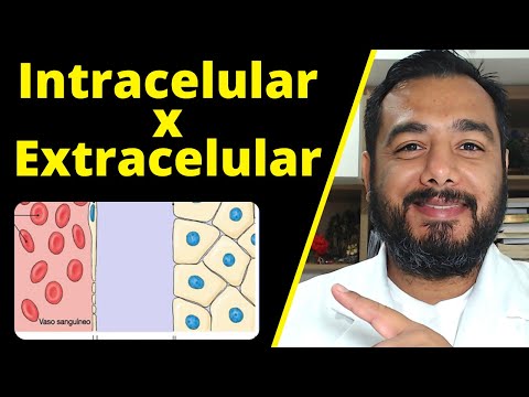 Vídeo: Quais são os íons em maior concentração no fluido extracelular?