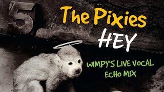 THE PIXIES 💜 HEY! (WIMPY'S LIVE VOCAL ECHO MIX)