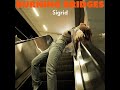 Sigrid - Burning Bridges (new song - promo snippet)