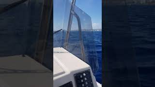 Thea Motor Yacht