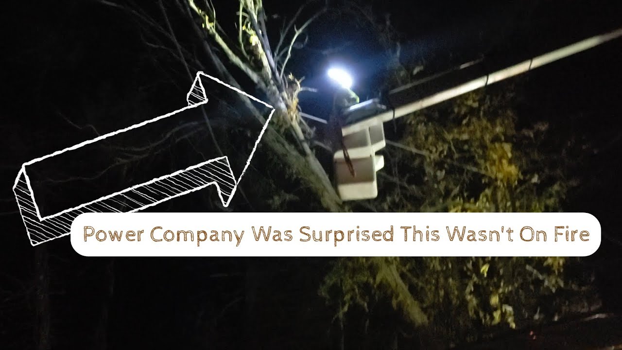A Tree Fell On Our Power Lines - YouTube