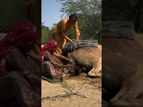 وفي الداخل وقف الأخ والأخت مع ا وحاولا سحب الجسم الموجود خلفهما