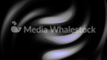 Abstract white shining wavy soft lines flowing on black background, seamless loop. Animation. Neon