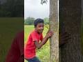 Viral Shorts 🍓 reels #explore #shortvideo #trandingshorts #explore