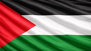 Palestine Flag | Fida'i 4k 2hrs 60 fps screenshot 5