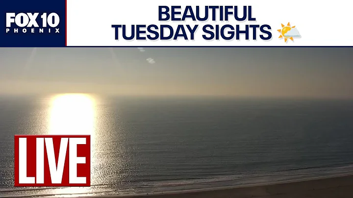 🔴LIVE WEBCAMS around the world | November 25