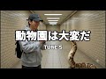 動物園は大変だ TUNE'S