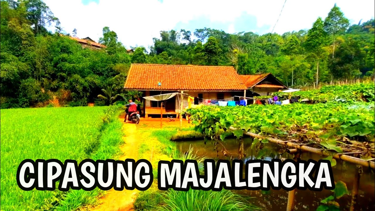 SUASANA KAMPUNG CIPASUNG LEUMAH SUGIH | MAJALENGKA JAWA BARAT
