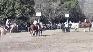 Doma en los chañares- septiembre 2018-mario casas