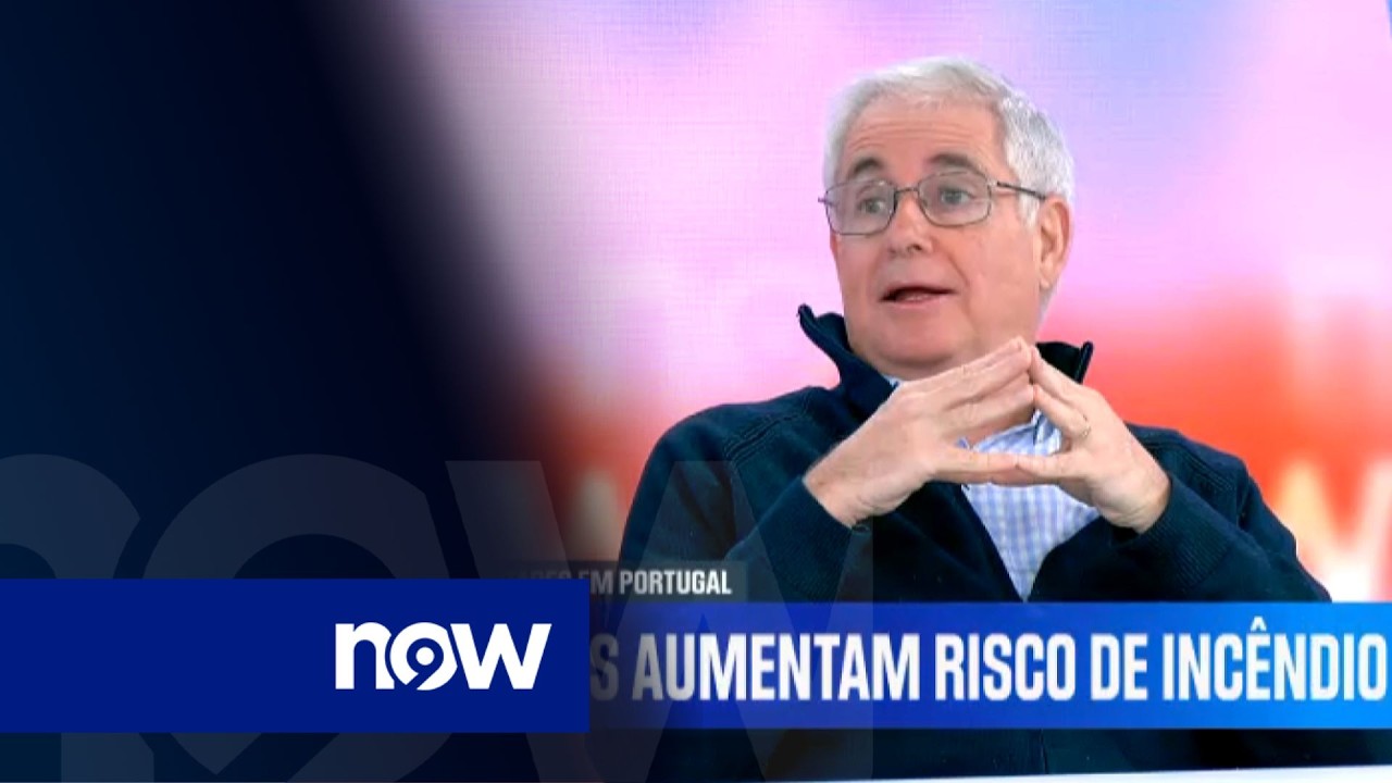 Mau tempo: «É da maior urgência que material caído seja retirado»