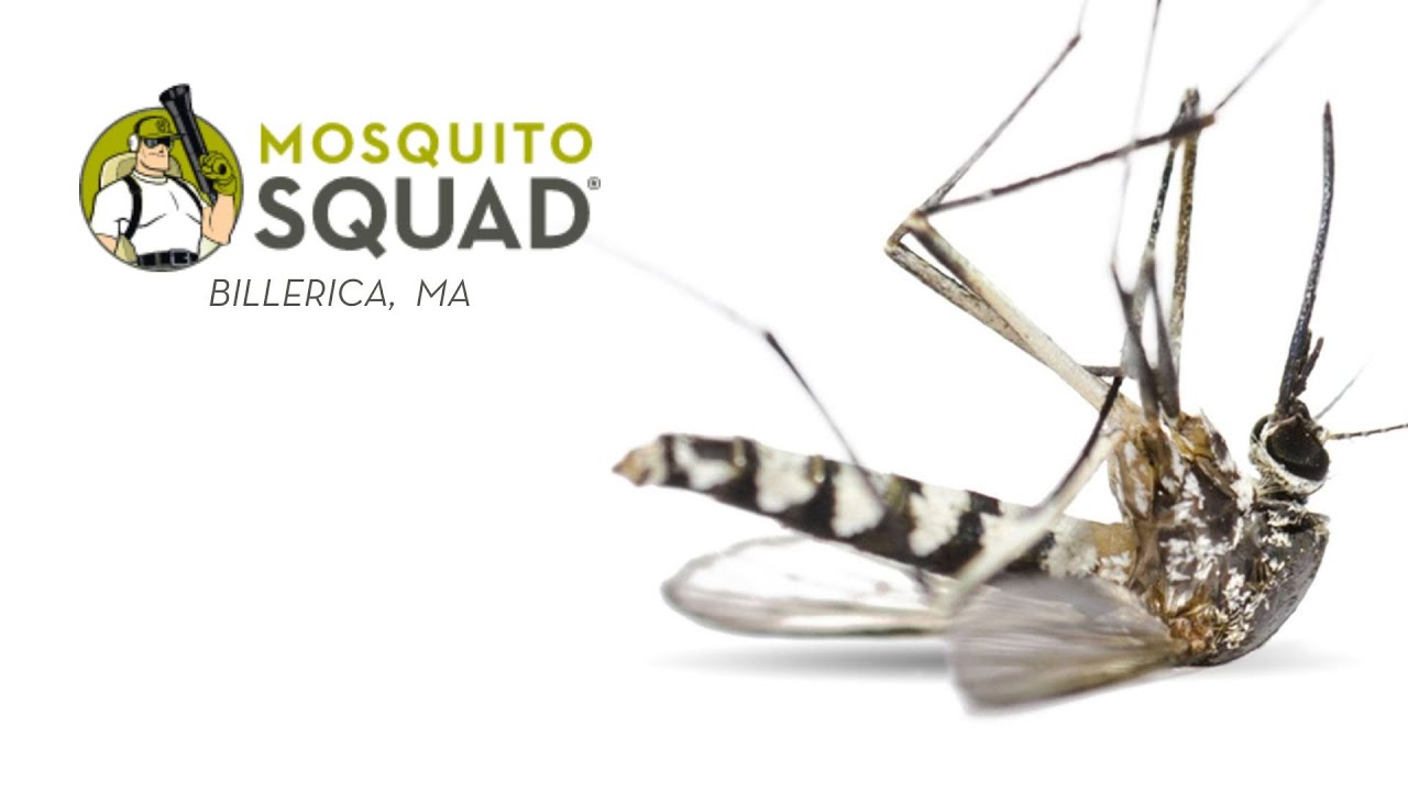 Mosquito Control Billerica MA | Tick Control Billerica MA | Billerica Mass Tick and Mosquito Control