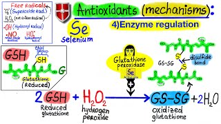 Antioxidants against Free Radicals [mechanisms]