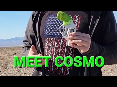 Meet Cosmo! My Taurus 85 5 shot .38 special
