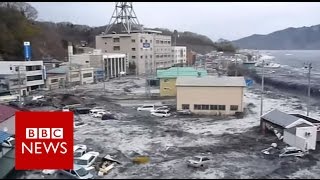 Five years since Fukushima  BBC News